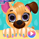 Pet Haircut Beauty Salon